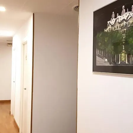 호스탈 라 팔메라 바르셀로나