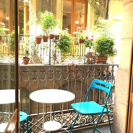 Hostel La Palmera