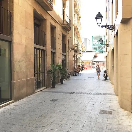 Guest house La Palmera 2*